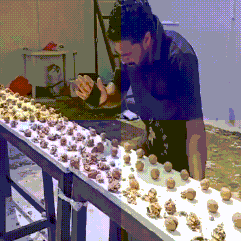 Incredible feat- martial arts master from southern India Guinness World Record with 303 walnuts crushed by hand in just one minute_GIF_converted